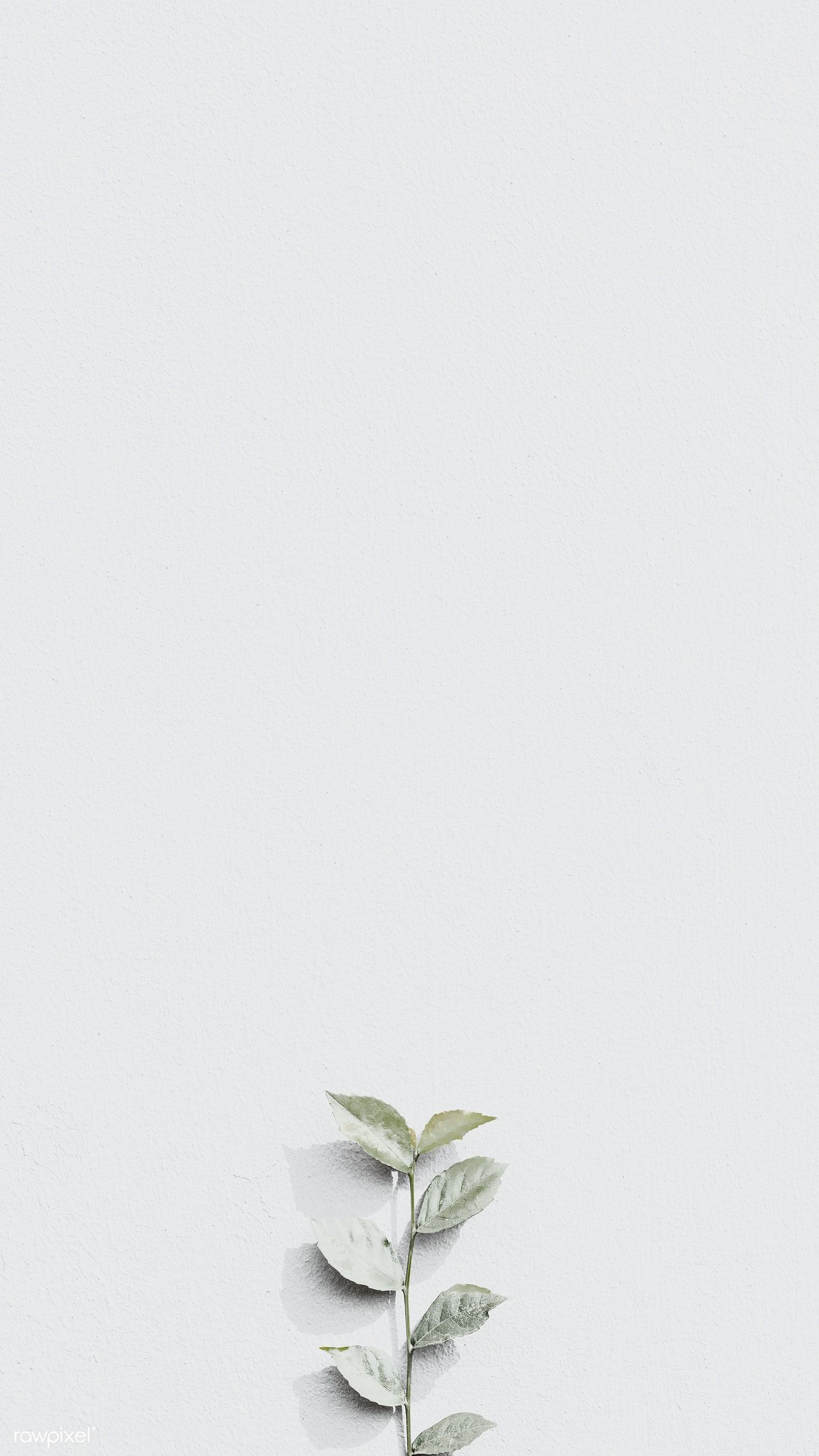 Ramo di pianta grigio chiaro, 1400x2489 Full HD Verticale, Smartphone
