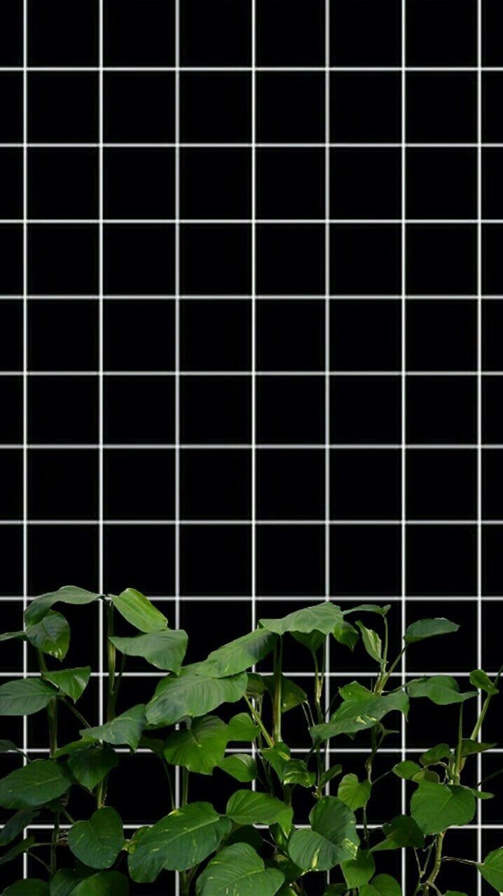 Griglia bianca nera con foglie, 718x1280 Full HD Verticale, Smartphone