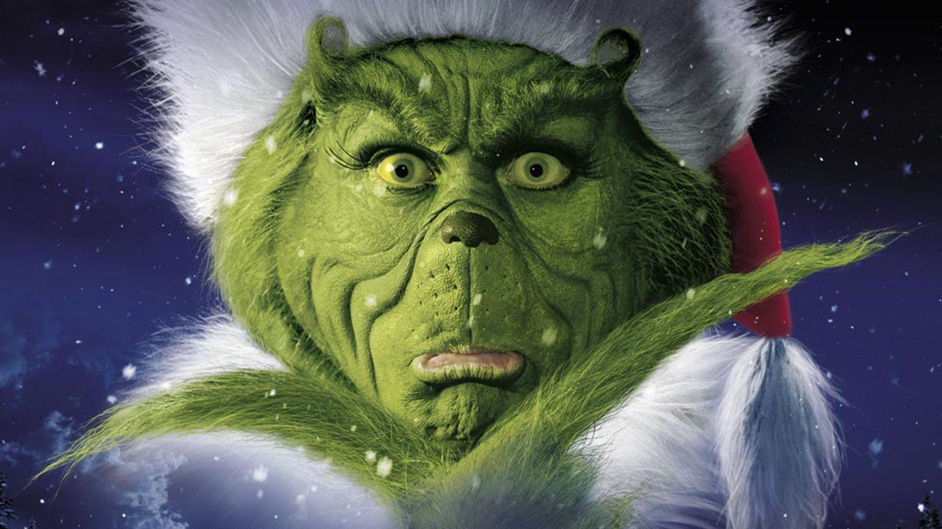 Grinch con cappello di Babbo Natale, 1920x1080 1080p, Laptop