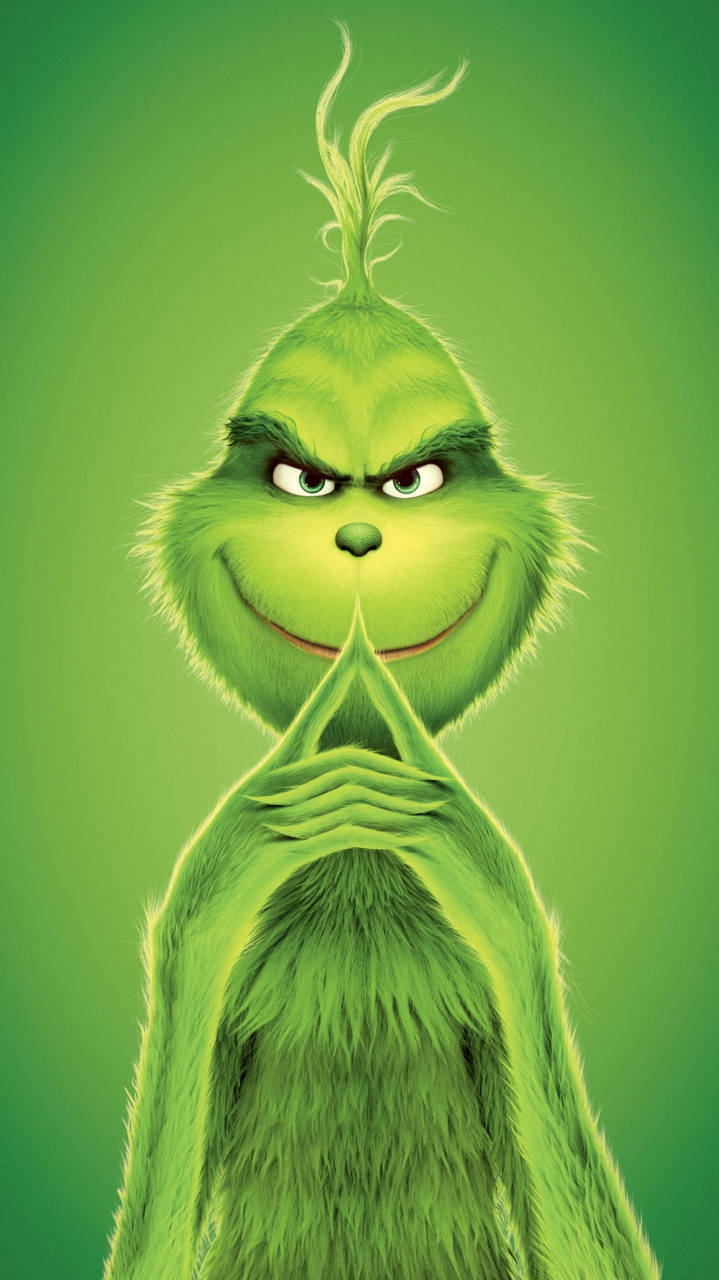 Il Grinch sorriso malizioso, 1439x2560 Full HD Verticale, Smartphone