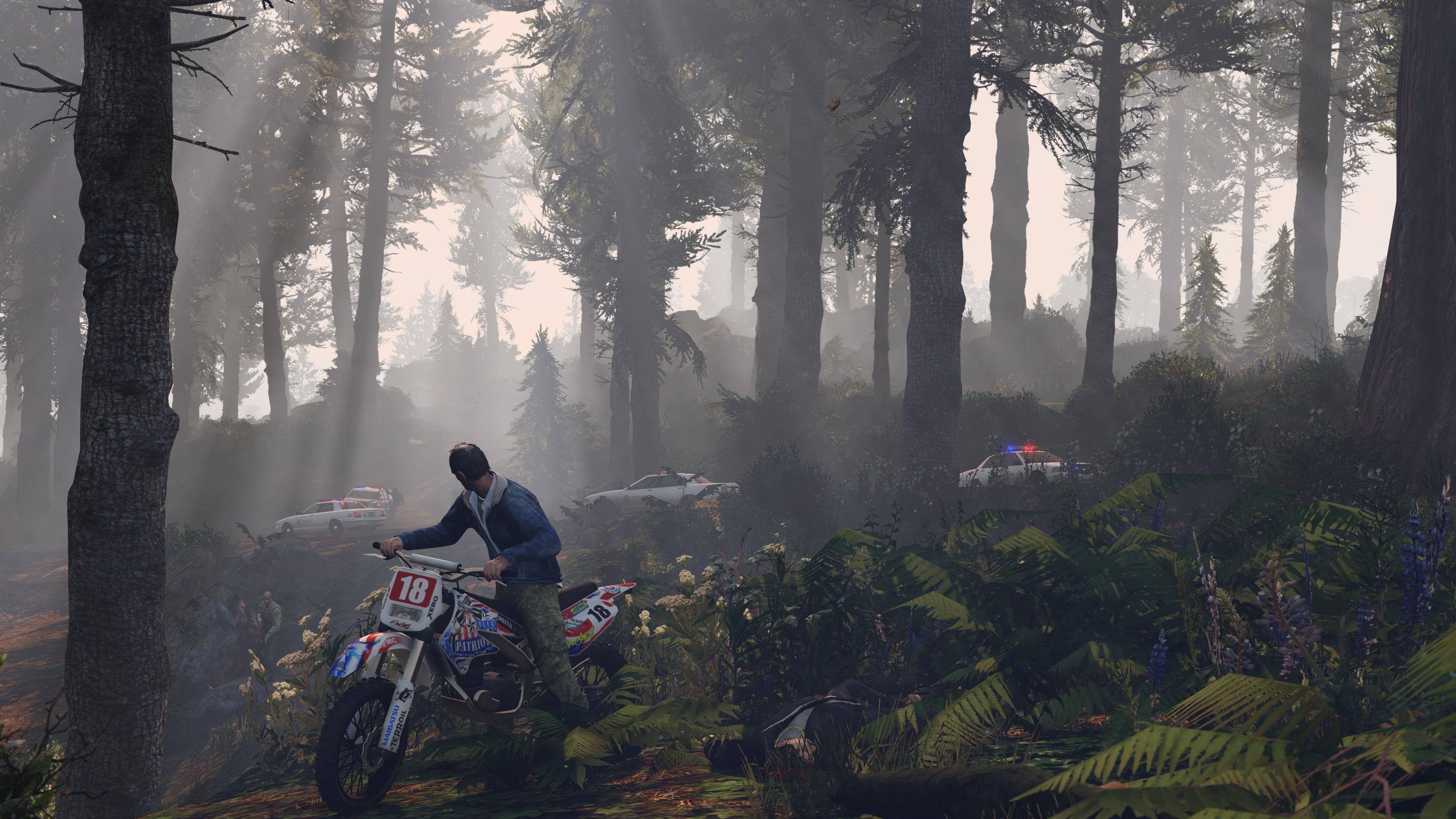Motociclista foresta nebbiosa GTA 5, 3840x2160 Ultra HD, Monitor 4K
