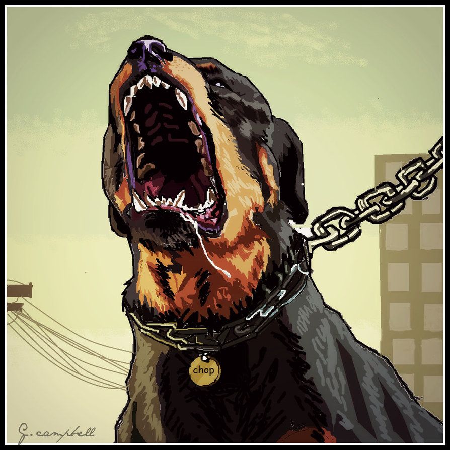 Chop cane Rottweiler GTA 5, 894x894 HD, PC