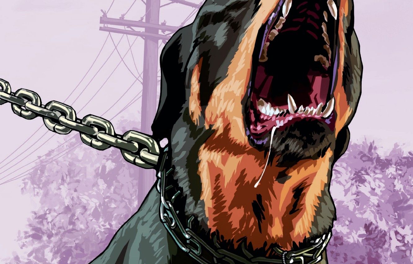 Chop Rottweiler GTA 5, 1332x850 HD, Desktop