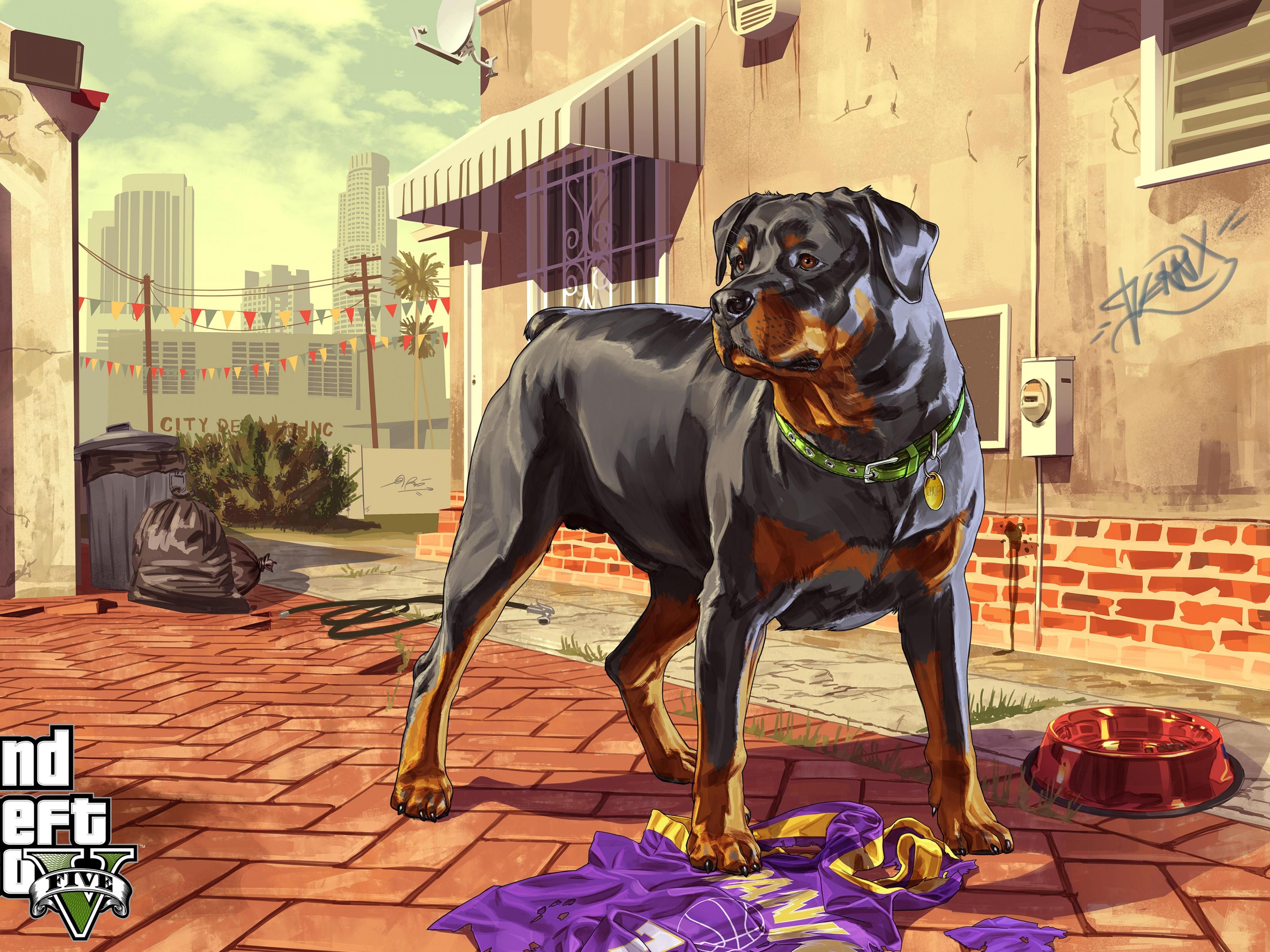 Chop cane GTA 5, Grand Theft Auto, 4096x3072 4K, Desktop 4K