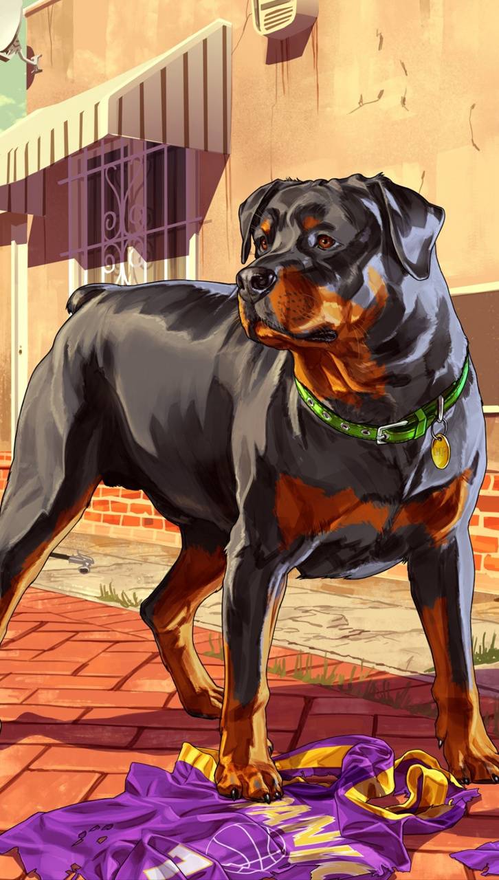 Chop cane Rottweiler GTA 5, Rockstar Games, 726x1280 Full HD Verticale, iPhone
