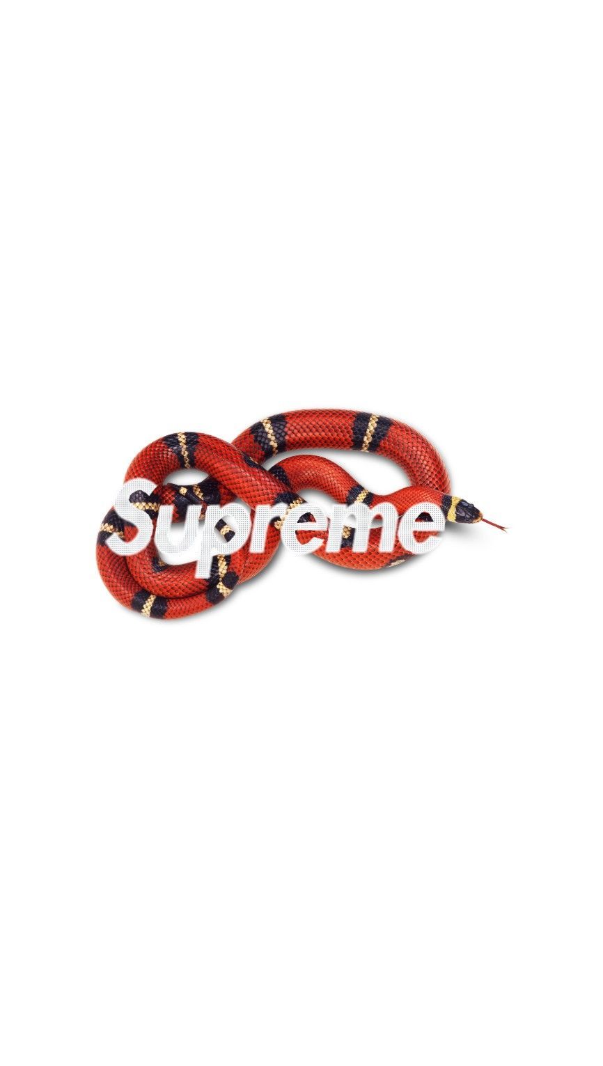 Logo Gucci grigio testurizzato, 1920x1080 Full HD, PC Desktop
