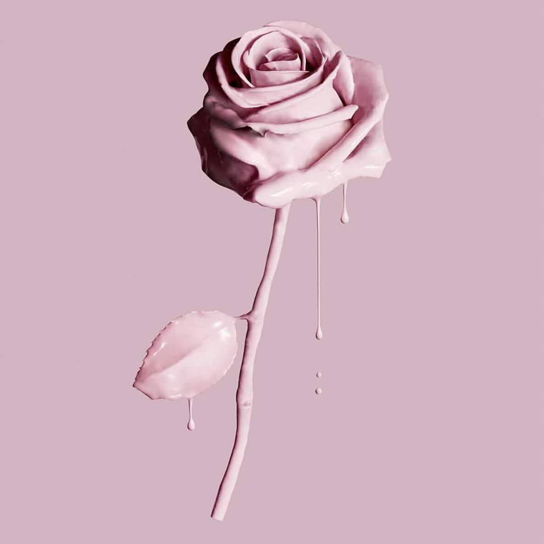 Rosa rosa antico gocciolante, 1080x1080 HD, Laptop