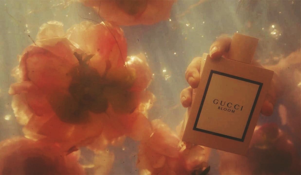 Profumo Gucci Bloom fiori, 1237x719 HD, PC Desktop