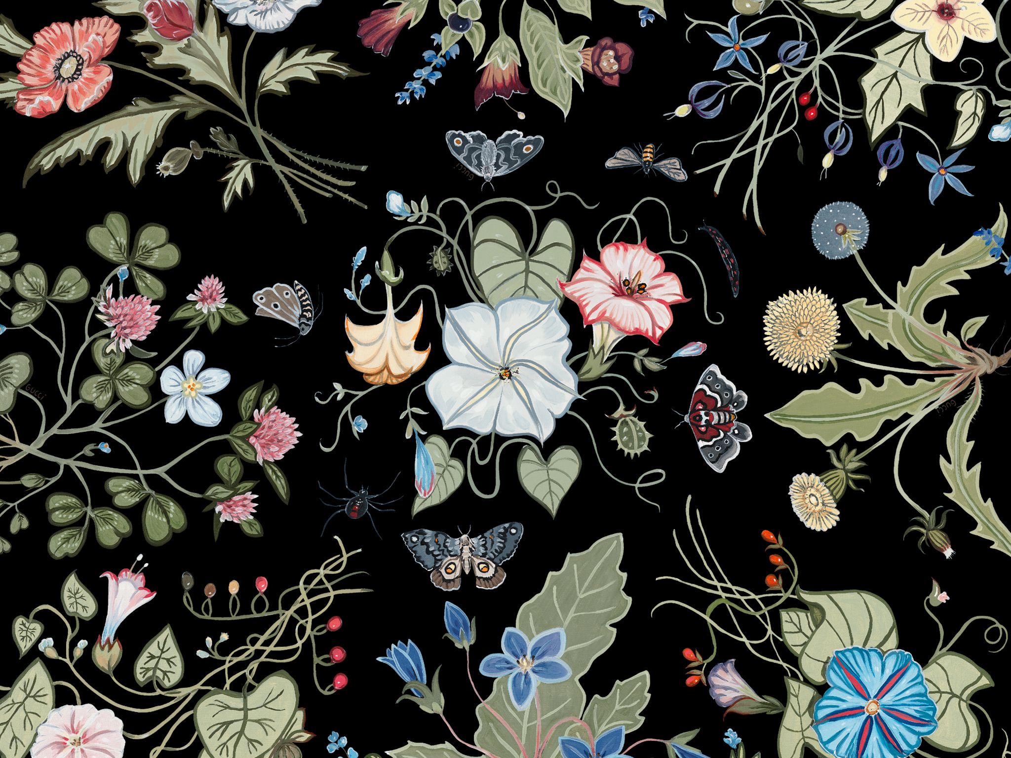 Foulard Gucci Flora floreale, 2400x2400 2K, Desktop