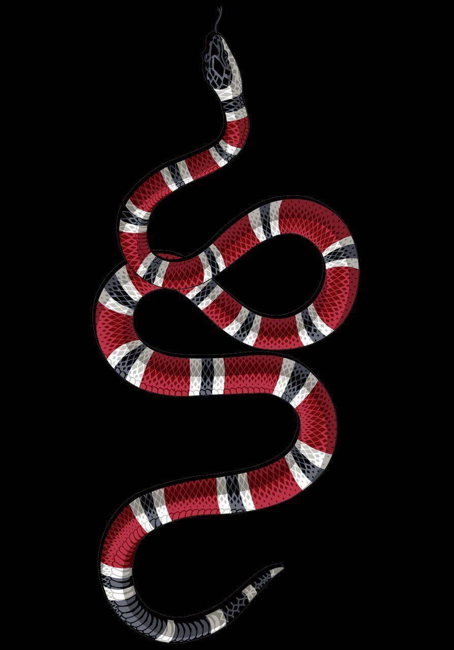 Gucci per iPhone X, moda di lusso, 894x1280 Verticale, iPhone Pro