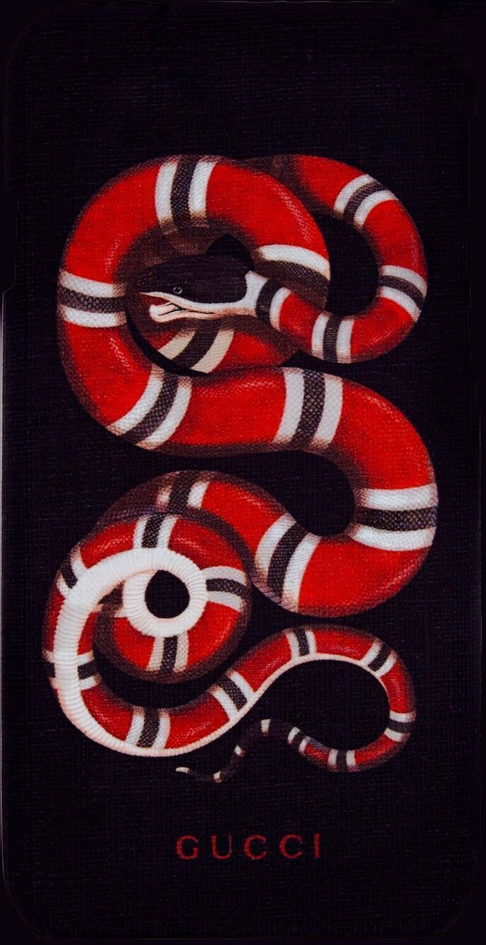 Serpente Gucci rosso nero, 688x1336 Full HD Verticale, iPhone Plus
