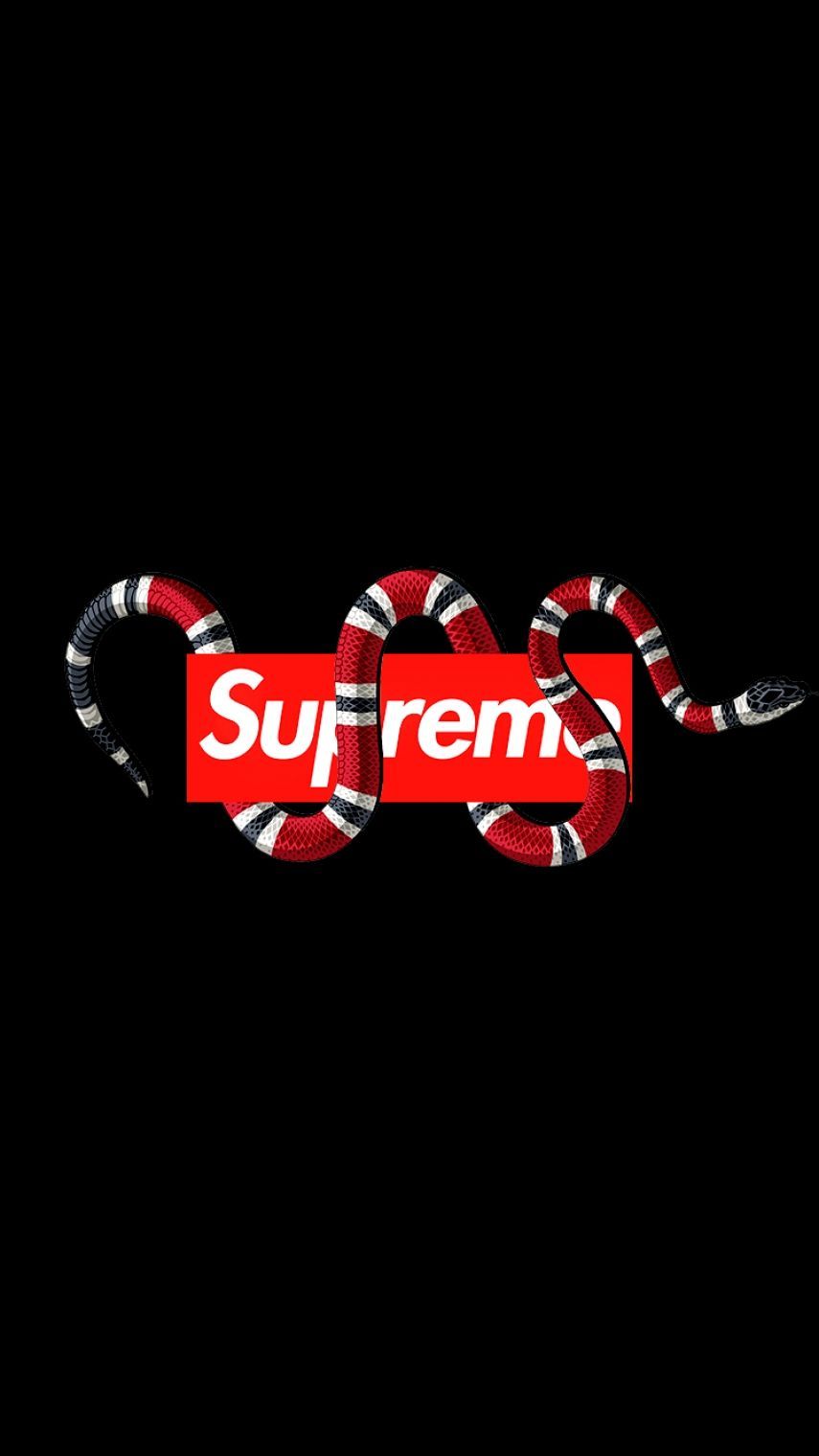 Logo Gucci su auto nera, 1920x1200 Full HD+ WUXGA, Desktop