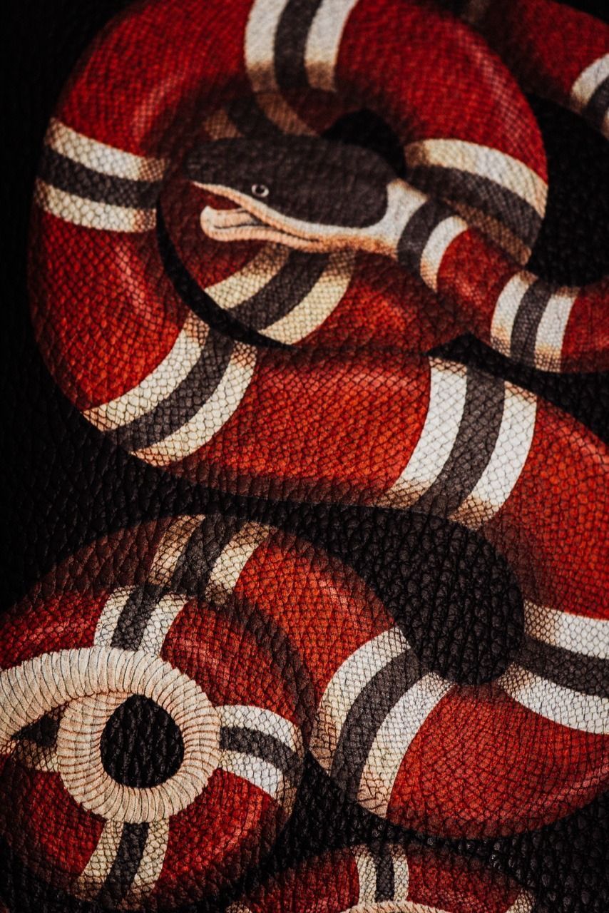 Serpente Gucci rosso nero, 854x1280 Verticale, Android