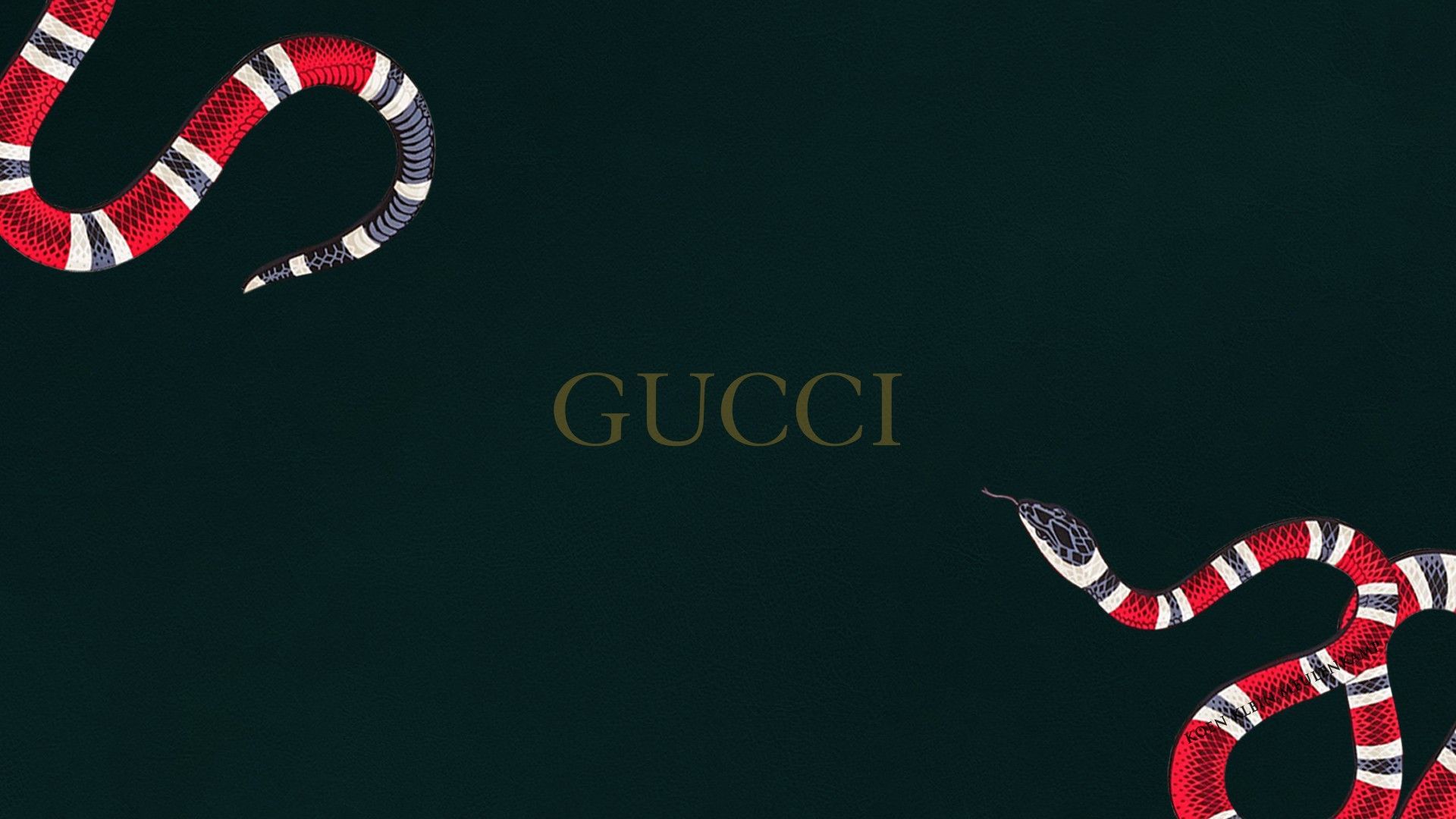 Serpente logo Gucci sfondo scuro, moda di lusso, 1920x1080 1080p, PC Desktop