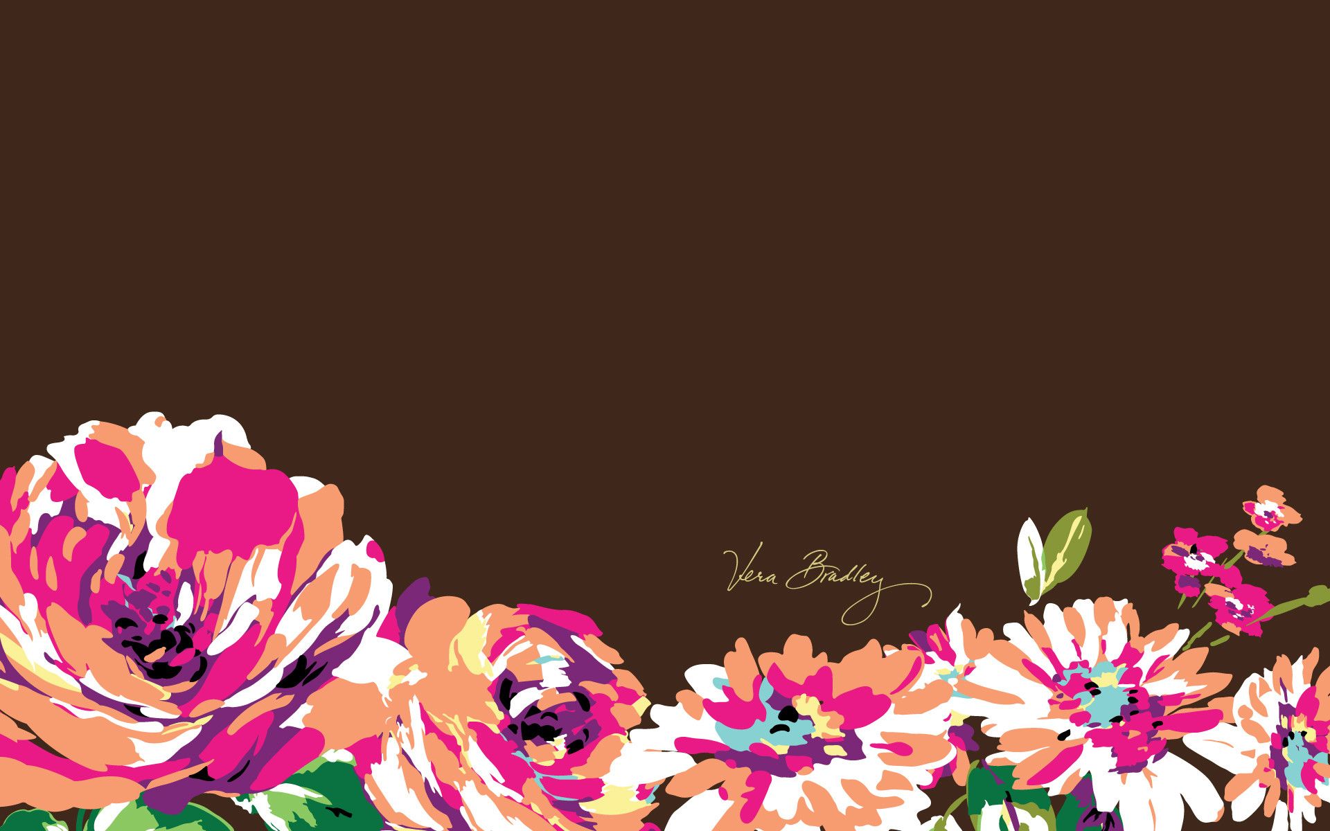 Gucci serpente e rose rosso, 2018x985 alta risoluzione, Laptop