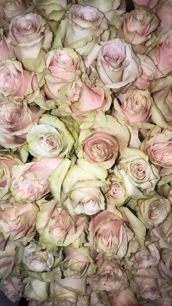 Profumi Gucci con rose vintage, 1920x1080 1080p, Desktop
