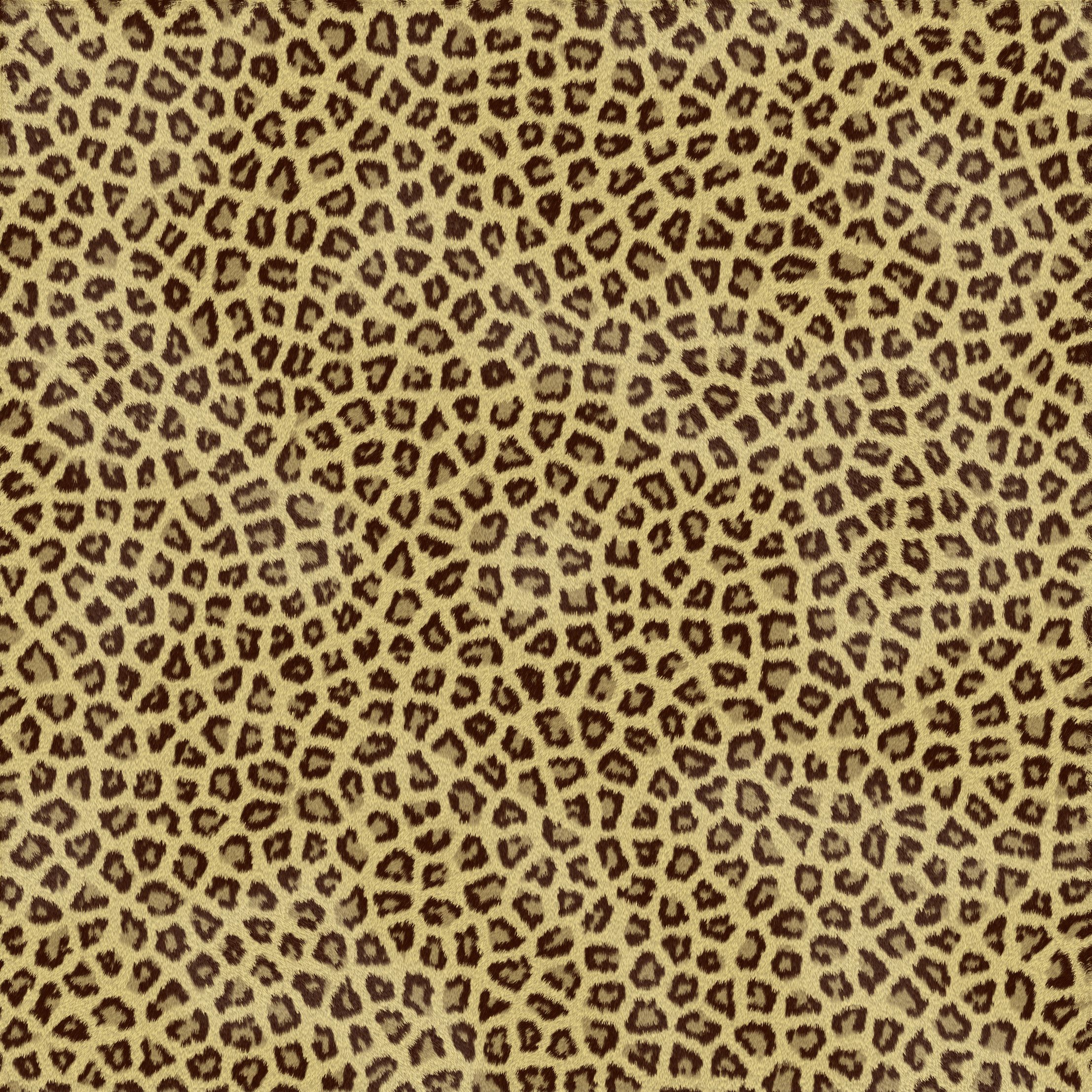 Testa tigre ricamata ruggente, 920x909 HD, PC