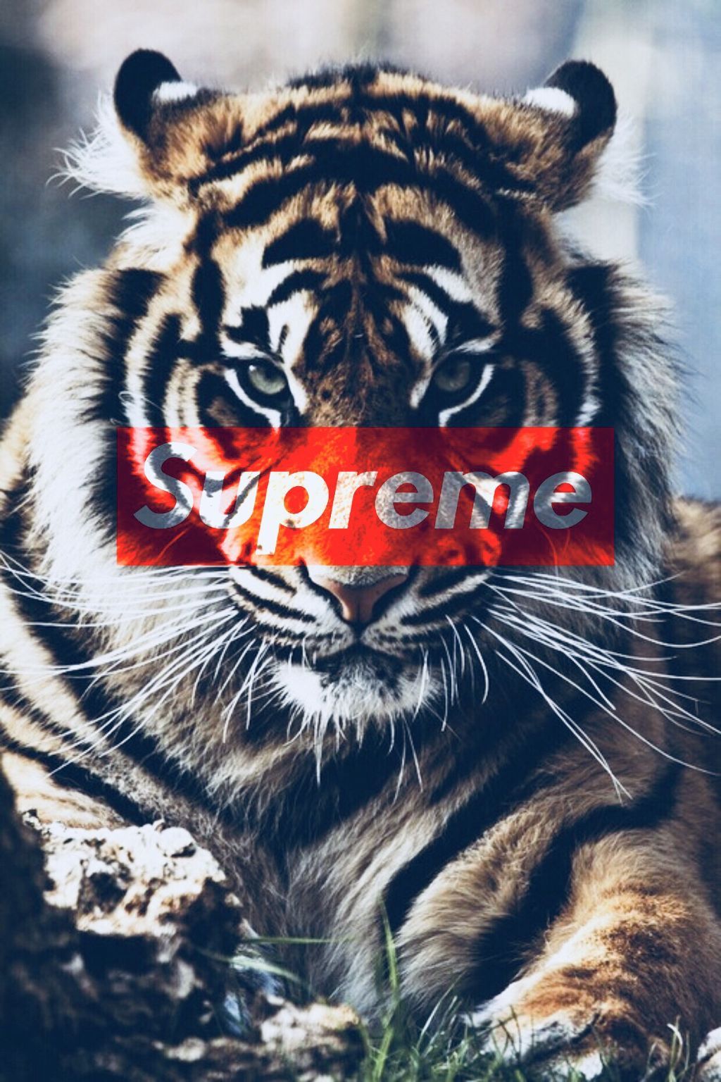 Supreme per iPhone X, 1242x2208 Verticale, iPhone