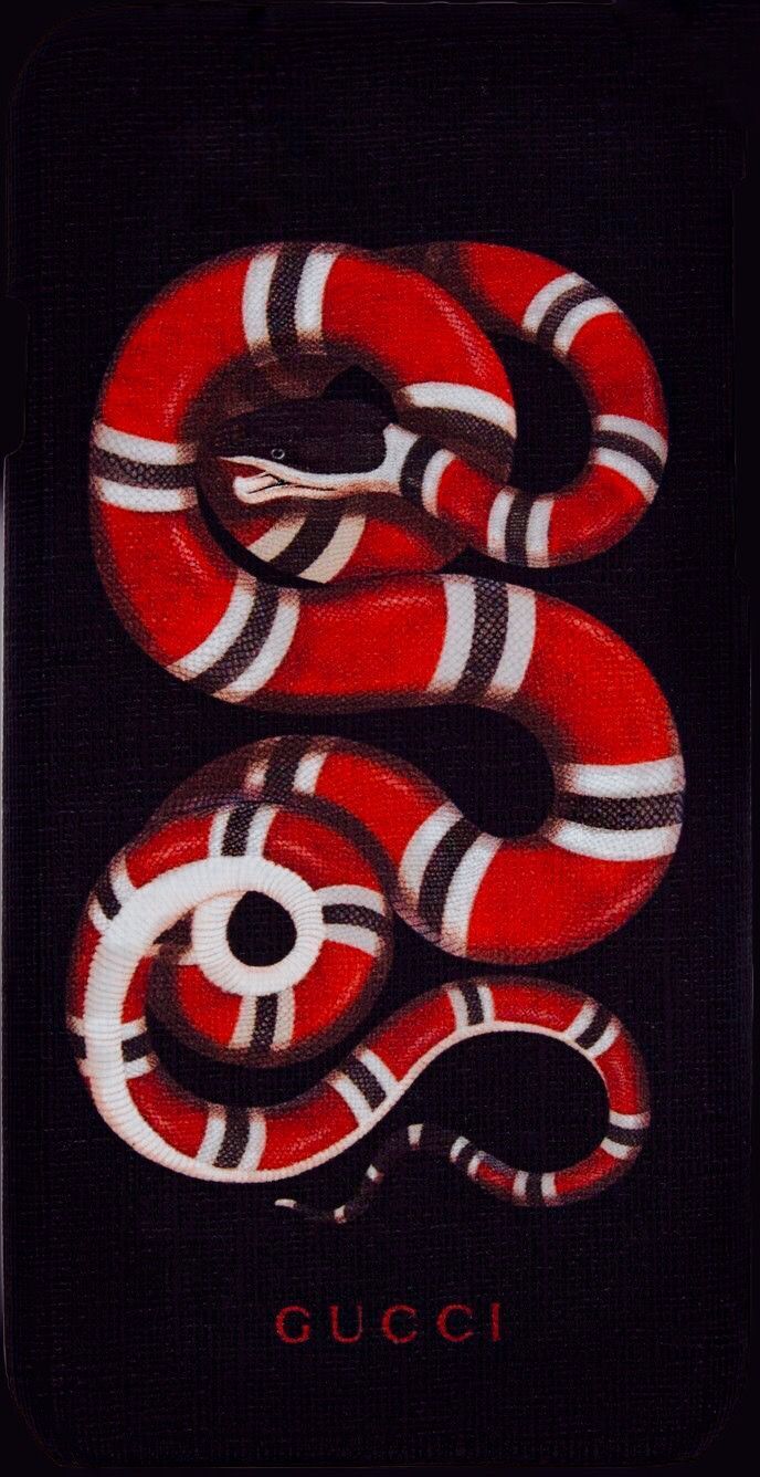 Serpente logo Gucci rosso, 688x1336 Verticale, Mobile