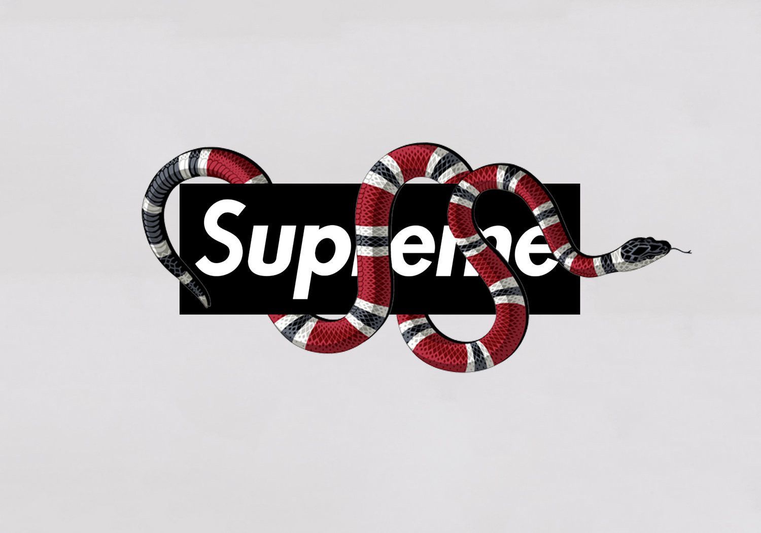 Gucci logo serpente Supreme, streetwear, 1500x1051 HD, Desktop
