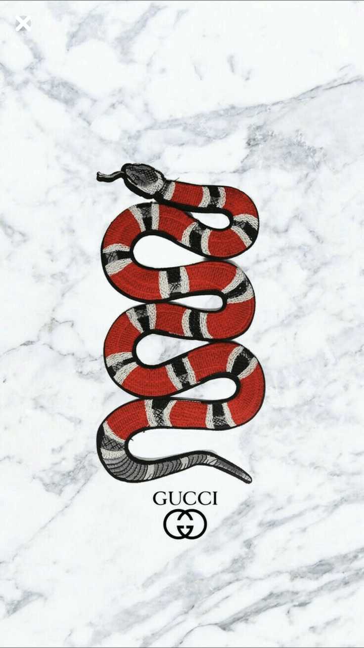 Serpente Gucci logo marmo, italiana, 720x1280 Full HD Verticale, Smartphone