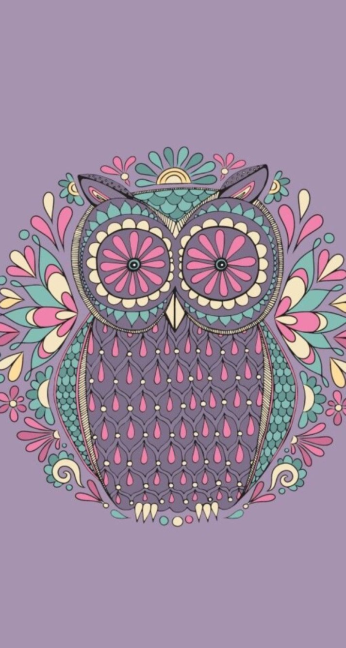 Gufo colorato stilizzato mandala, 713x1334 Full HD Verticale, iPhone