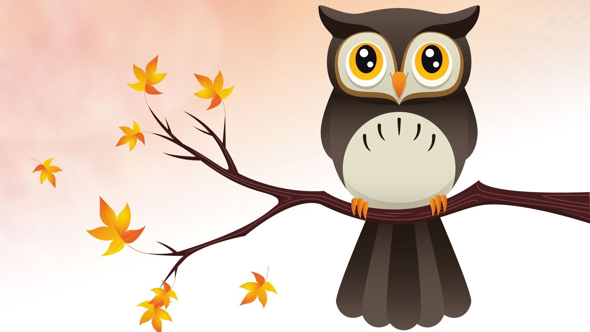 Gufo carino su ramo, 1920x1080 Full HD, Desktop