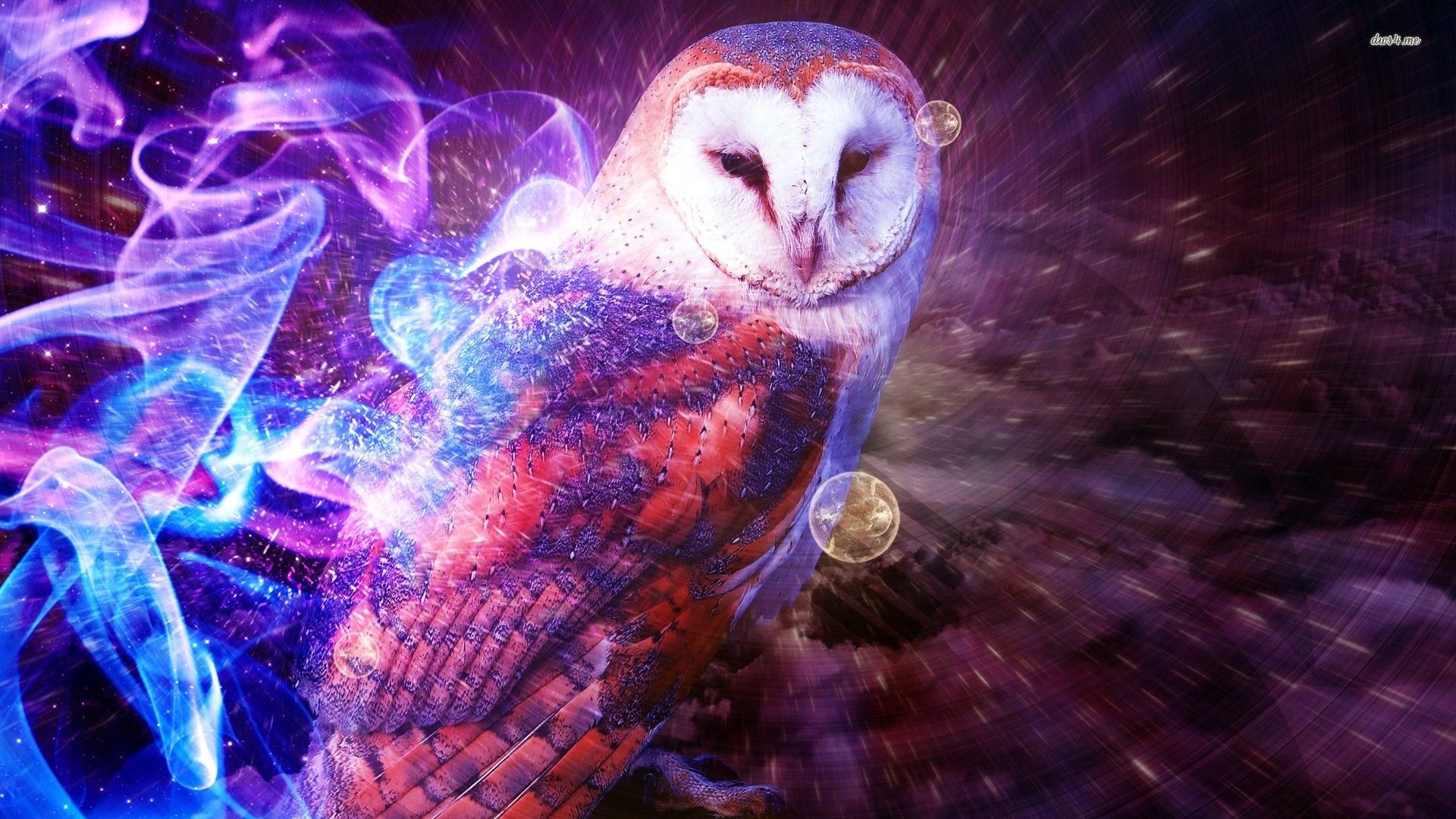 Gufo fantasy colorato viola, 1920x1080 1080p, Desktop