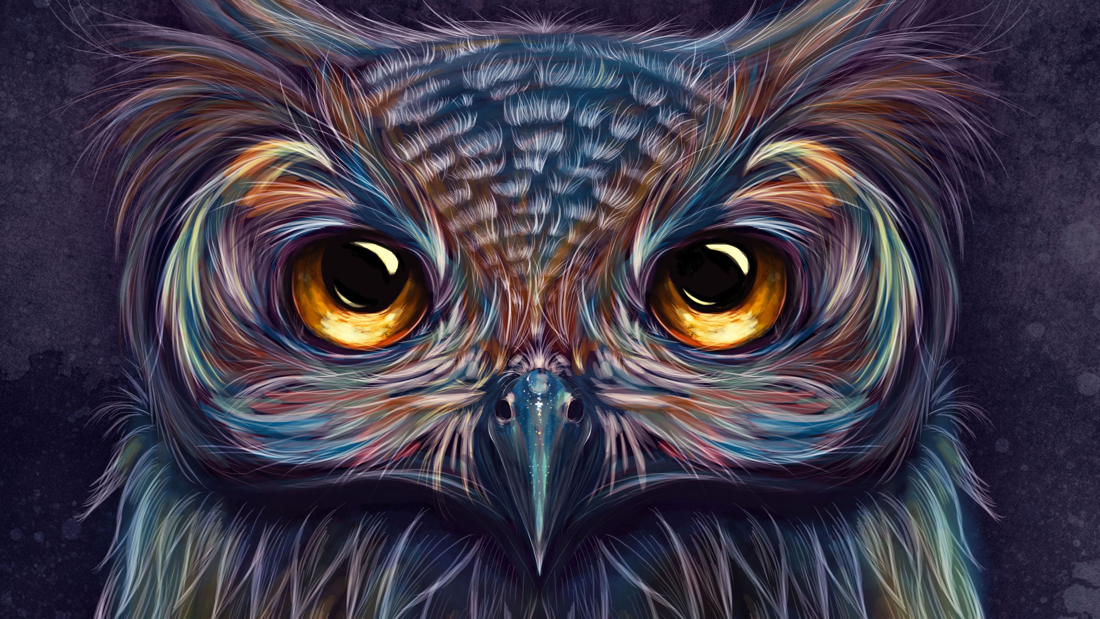 Gufo colorato primo piano, 3840x2160 4K, Desktop 4K