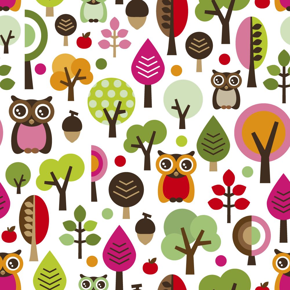 Gufi colorati e alberi pattern, 1000x1000 HD, Laptop