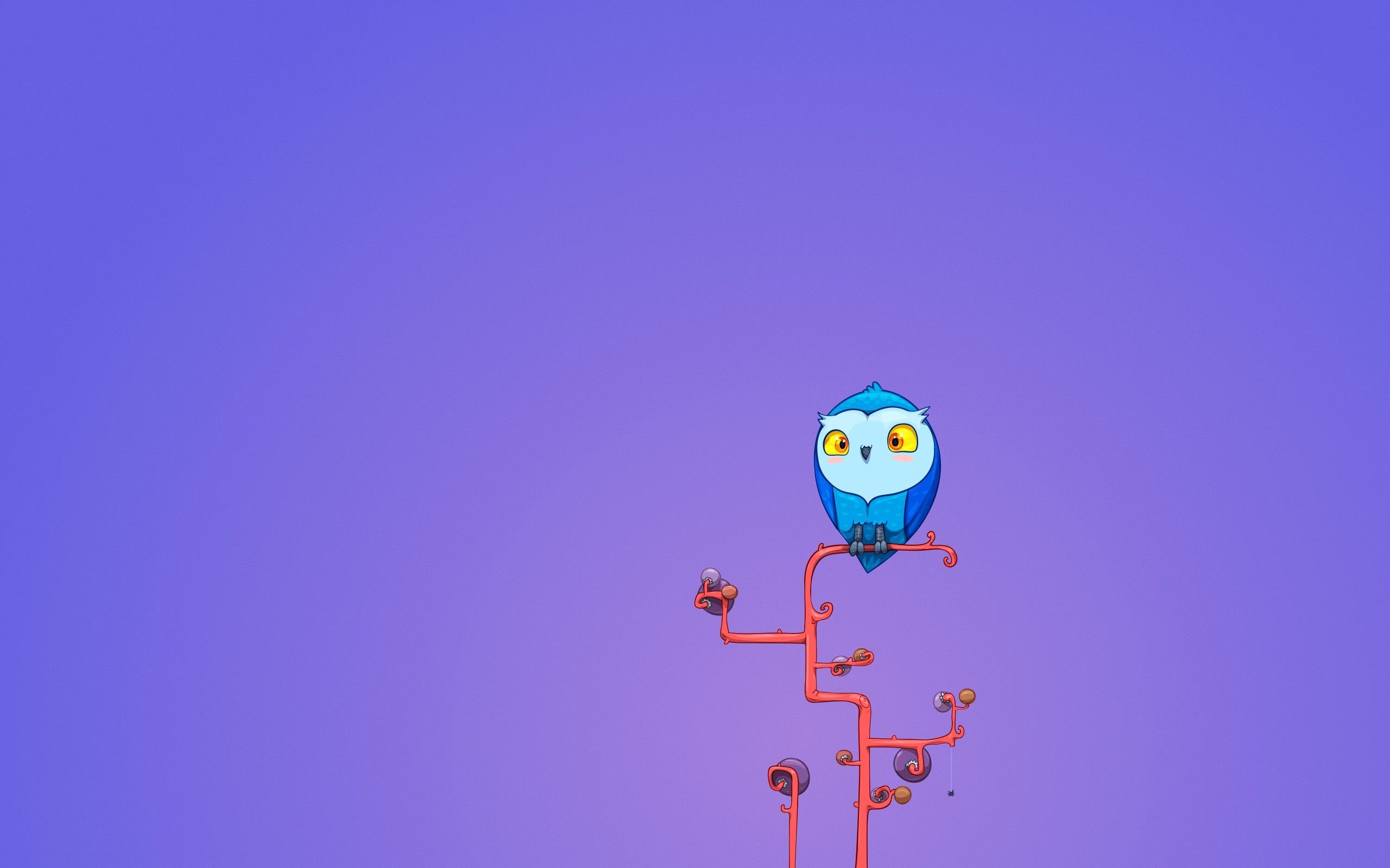 Gufo blu su ramo minimalista, 2560x1600 2K+, PC