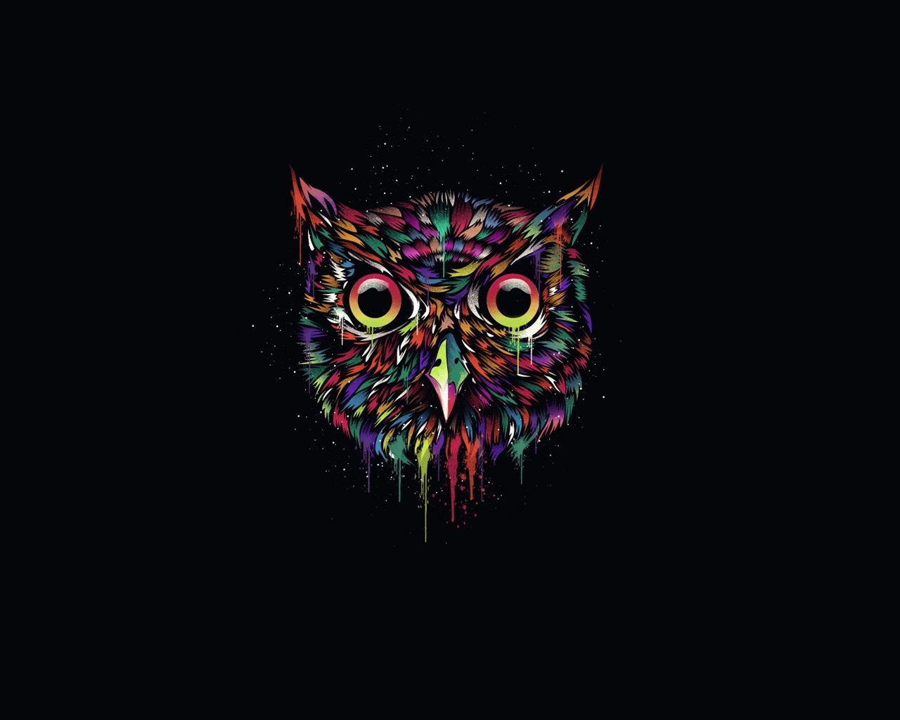 Gufo colorato sfondo nero, 1280x1024 720p, PC