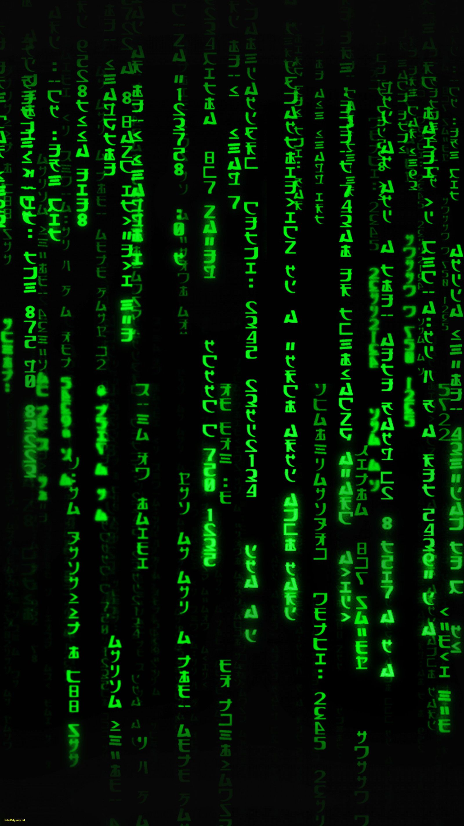Teschio hacker codice binario blu, 1920x1080 1080p, Desktop