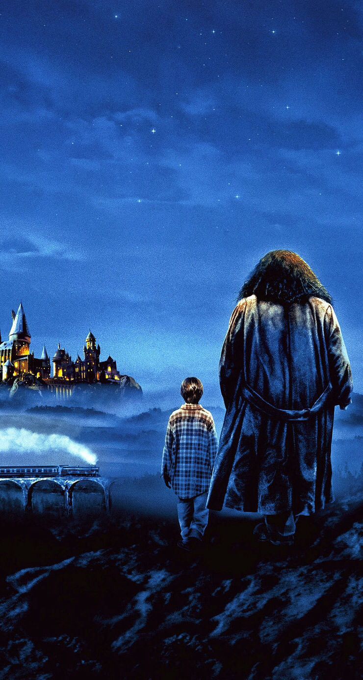 Harry e Hagrid, Hogwarts notte, scuola di magia, 740x1384 Full HD Verticale, Smartphone