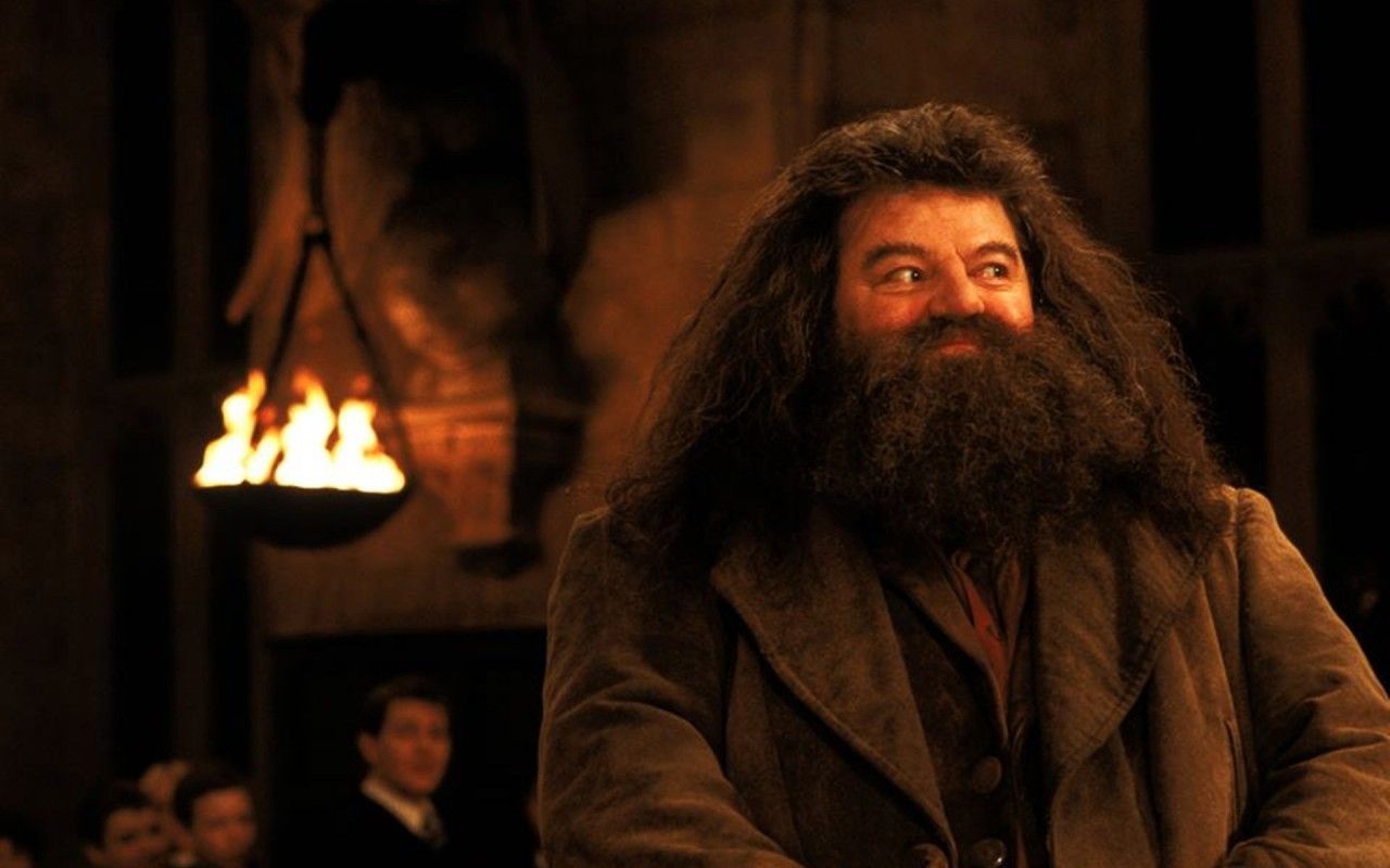 Hagrid Harry Potter, Sala Grande, 1280x800 HD, ROG Asus Laptop