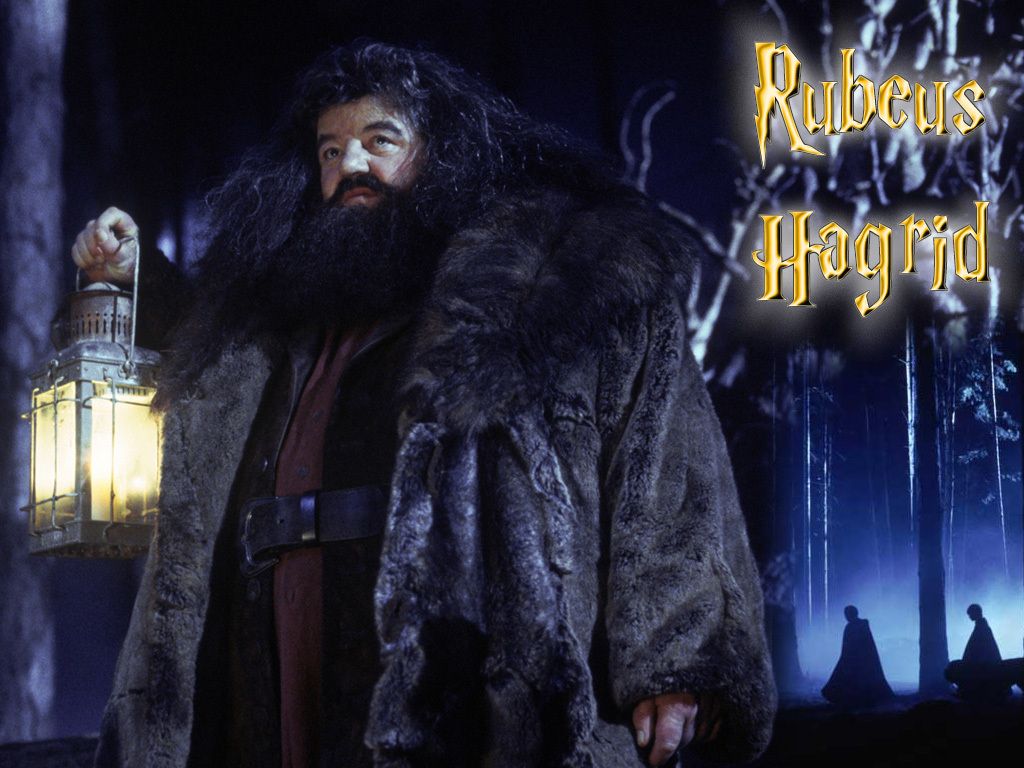 Attrazione parco a tema Hagrid, 1920x1080 Full HD, PC