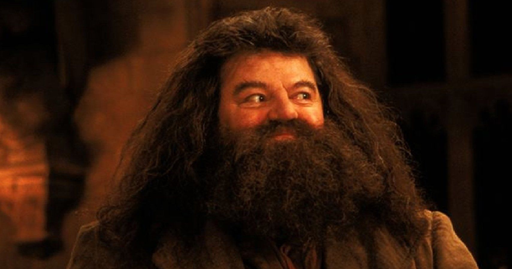 Hagrid Harry Potter attrazione, 1600x1000 HD, Laptop