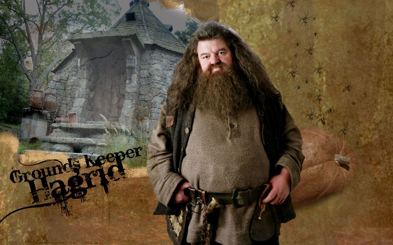 Hagrid moto Universal Orlando, 2400x1200 Hi-Res, Desktop