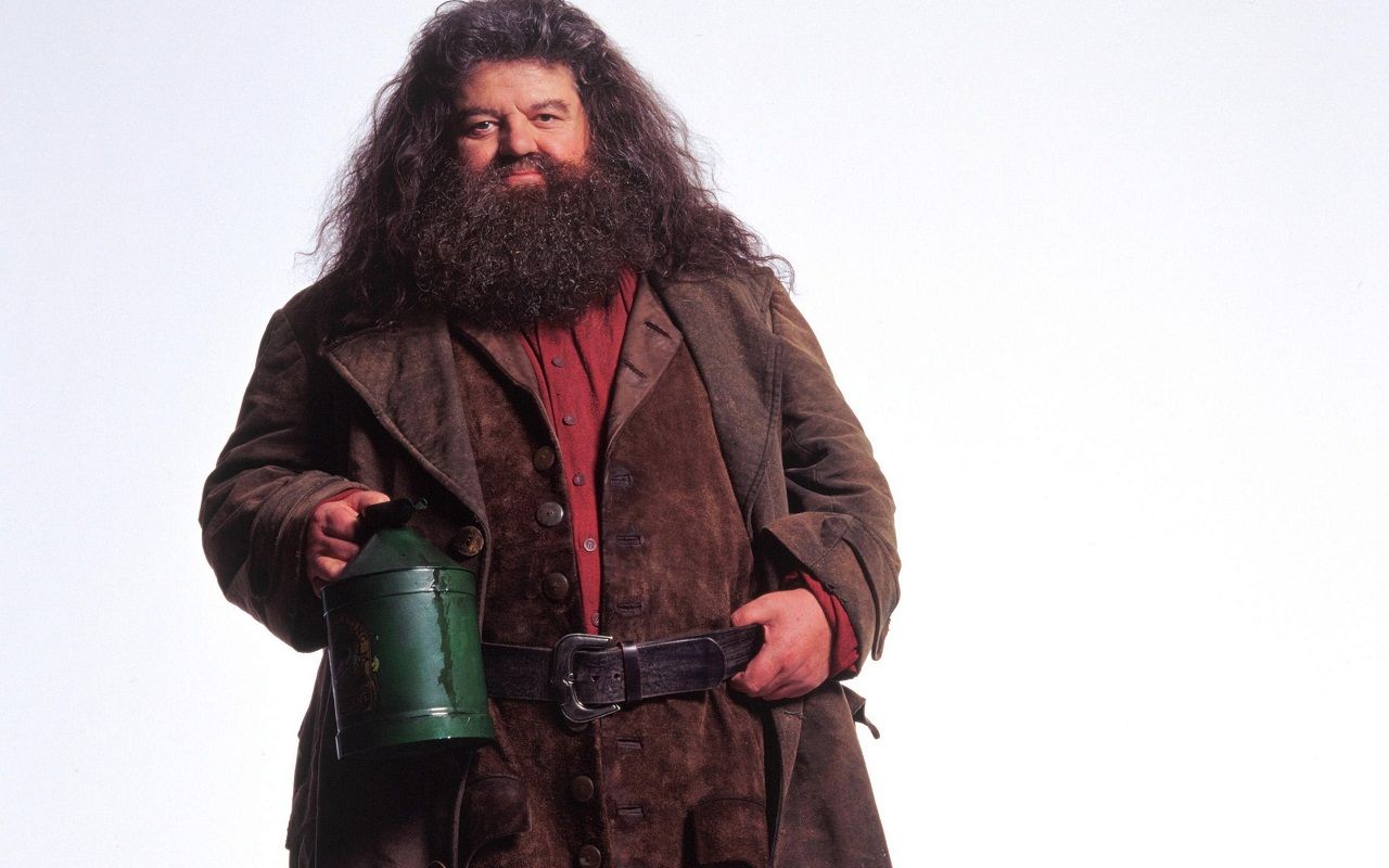 Copertina Harry Potter Pietra Filosofale, 1920x1080 1080p, PC Desktop