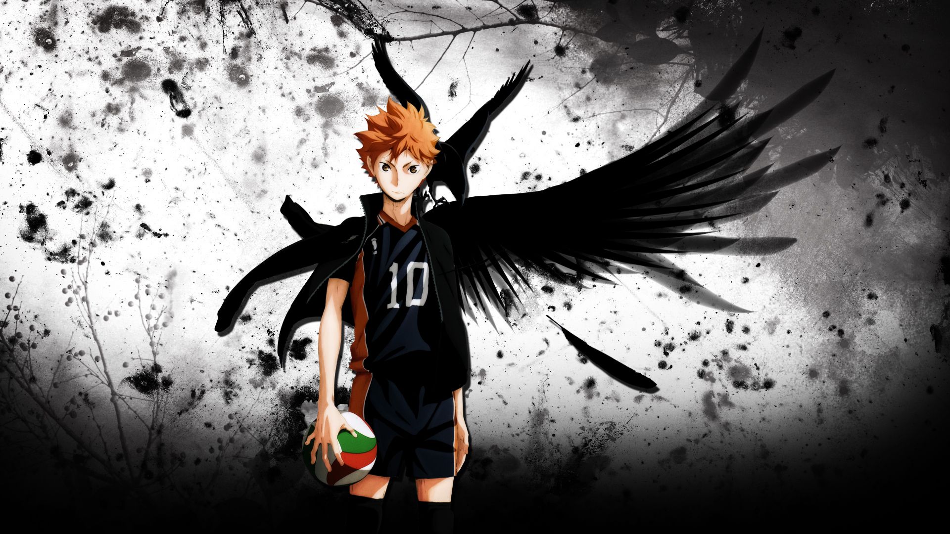 Hinata Haikyuu ali nere, 1920x1080 Full HD, Desktop