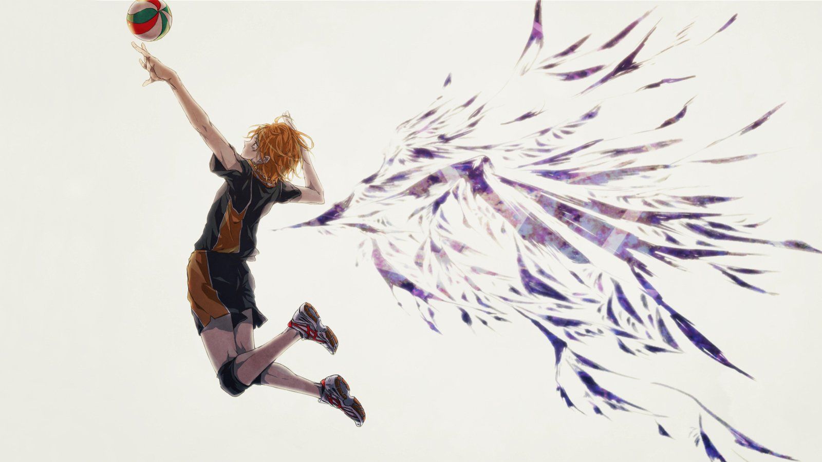 Hinata Haikyuu schiacciata pallavolo, 1600x900 HD, iMac