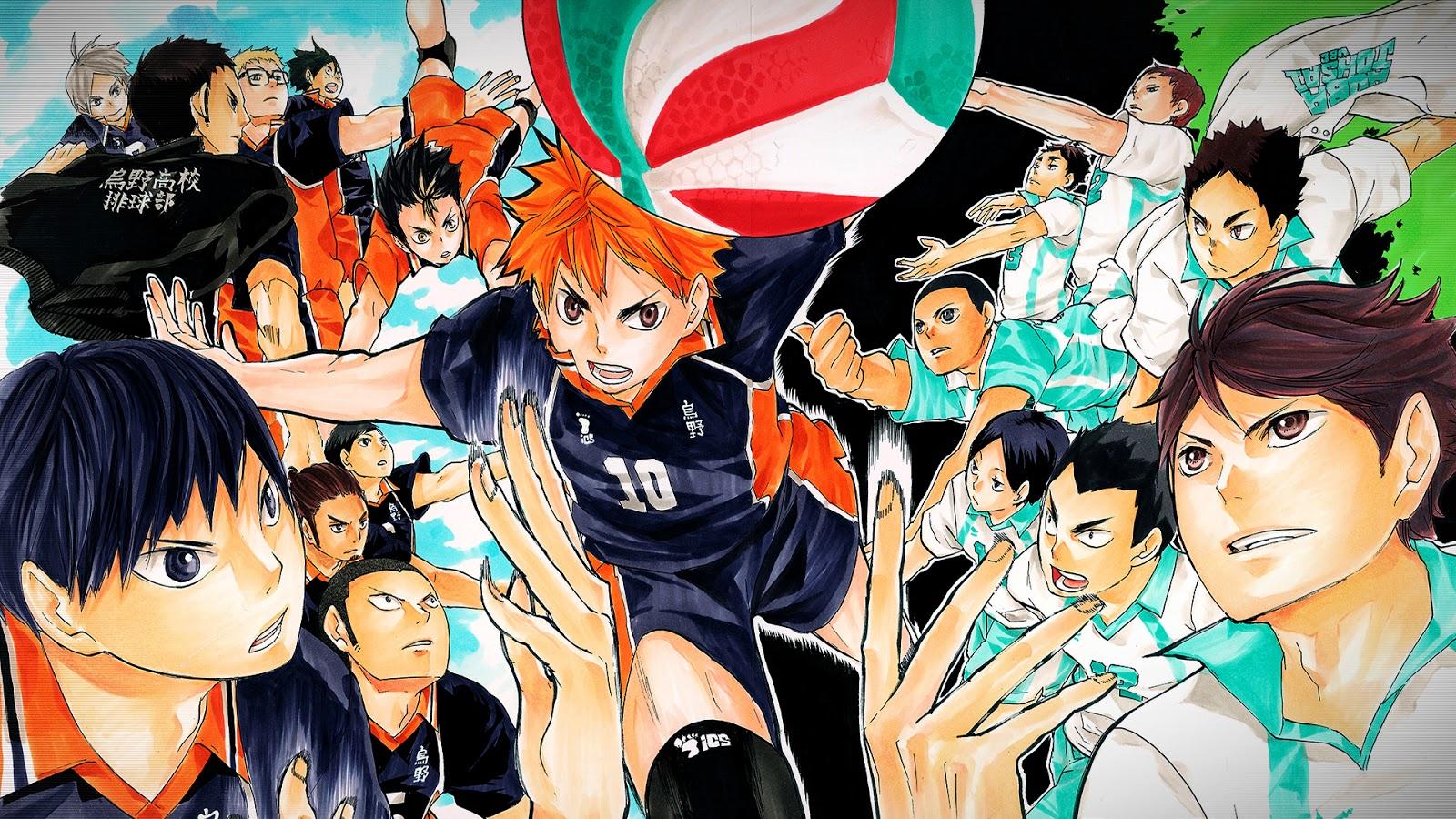 Haikyuu Karasuno personaggi anime, 1600x900 900p, Desktop