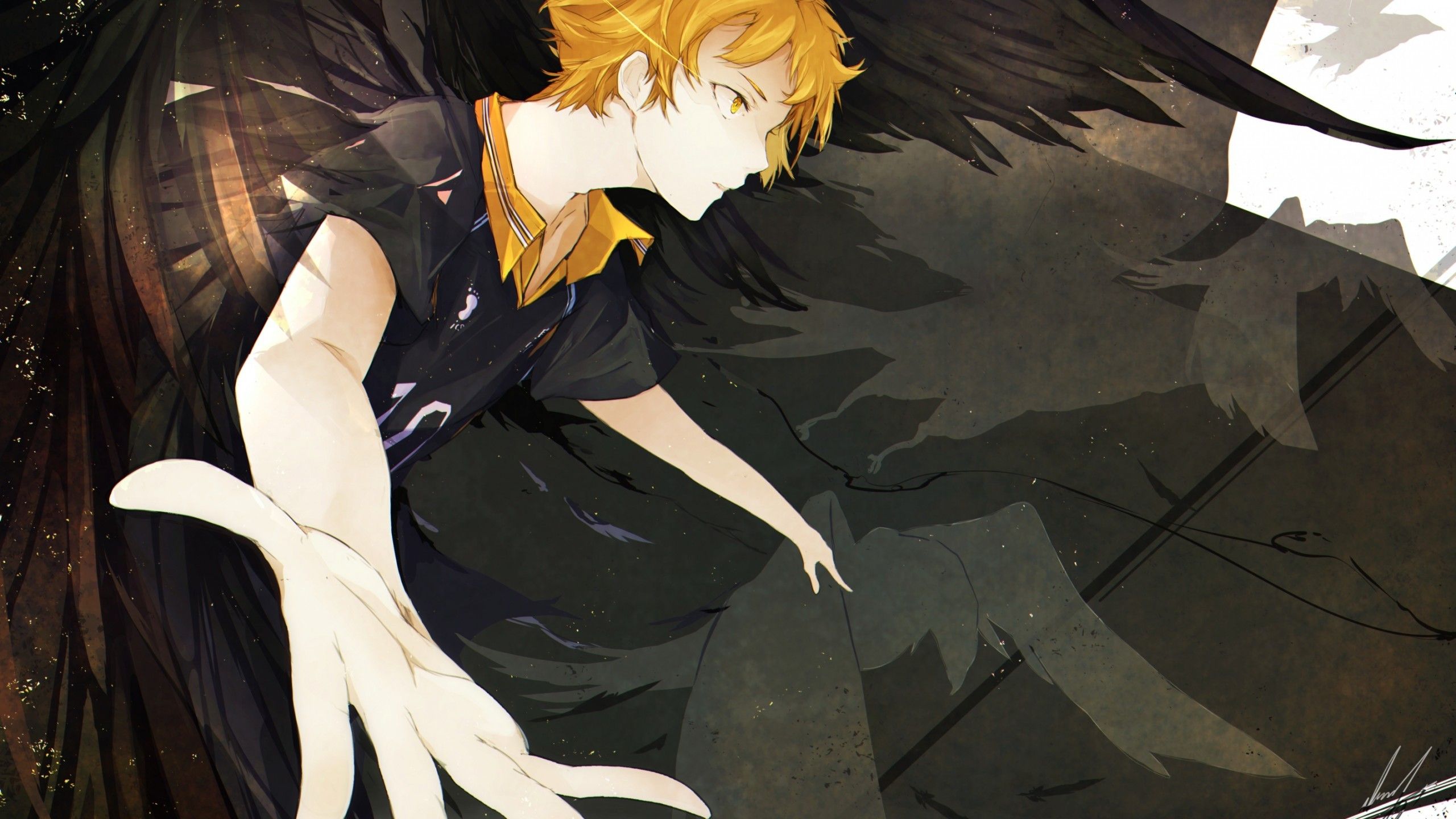 Hinata Shouyou ali scure, 2560x1440 2K, Monitor Gaming