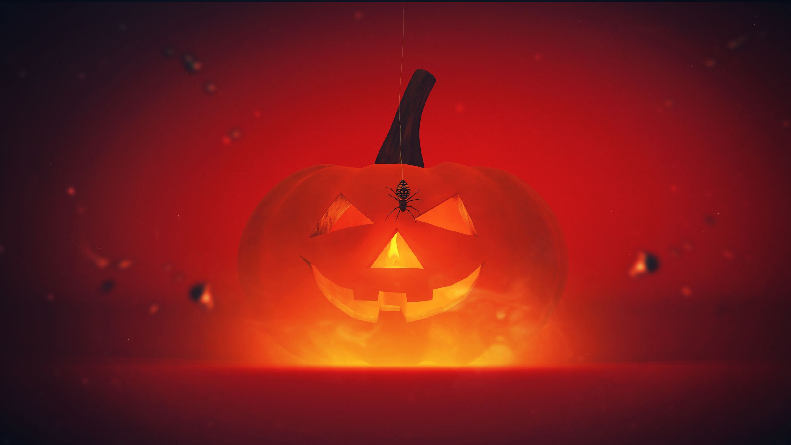 Zucca Halloween luce arancione neon, 2560x1440 2K QHD, Monitor Gaming