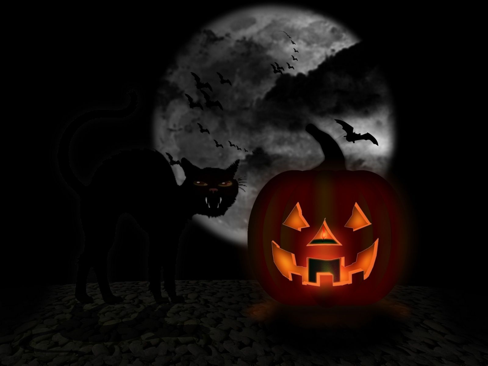 Zucca Halloween gatto nero luna, 1600x1200 900p, Laptop
