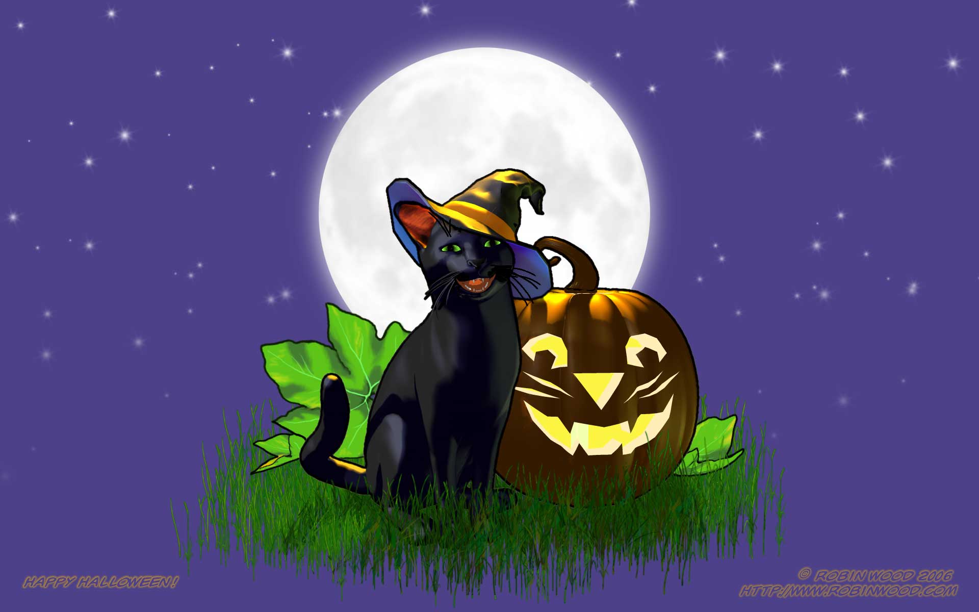 Gatto nero con zucca Halloween, 1920x1200 Full HD+ WUXGA, PC