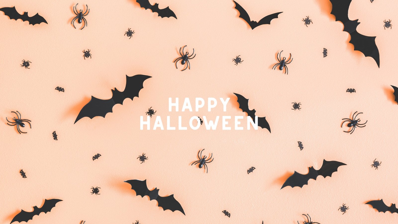 pipistrelli e ragni pattern Halloween, 1600x900 HD Ready, Desktop