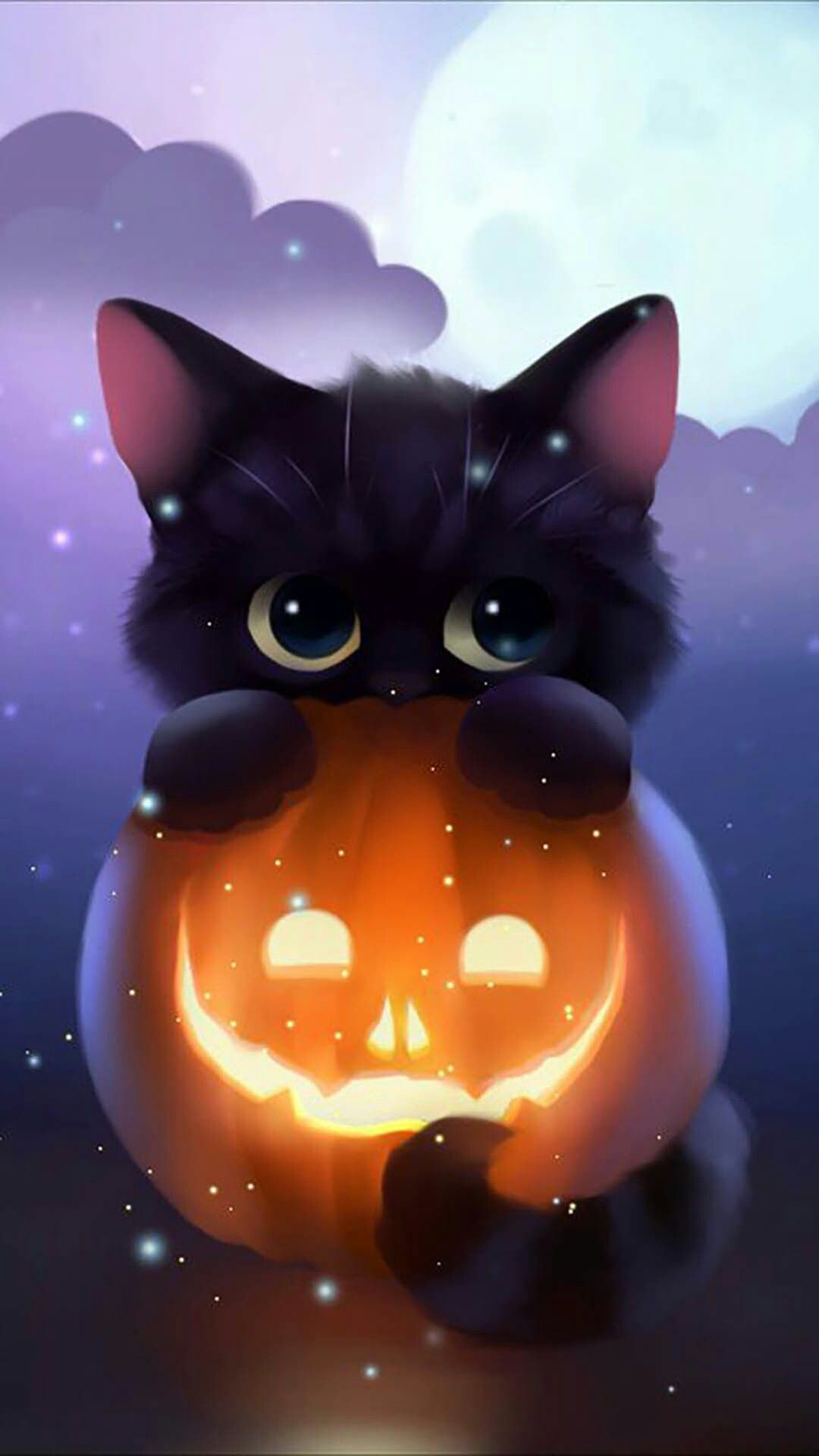 Gattino nero con zucca Halloween, 1080x1920 Full HD Verticale, Smartphone