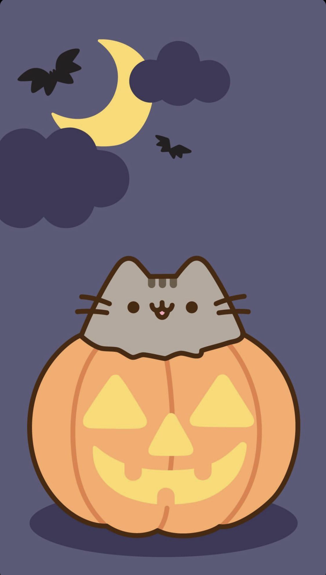 Gatto carino in zucca Halloween, 1125x1982 Full HD Verticale, iPhone