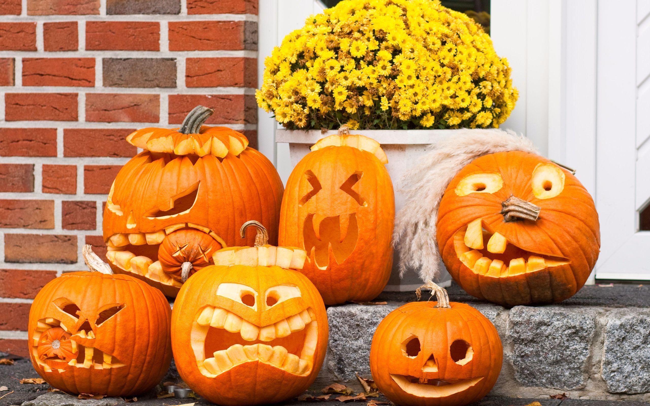 Zucche di Halloween intagliate, 2560x1600 2K+, Laptop